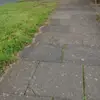 Kara Hyder - @kara.hyder6 - TikTok
