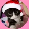🇯🇲kara.hydex🐈‍⬛ - @kara.hydex - TikTok