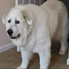 Htiek - @keithkaraoke - TikTok