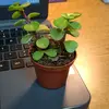 Kara Keith - @the.kathy.lynn - TikTok
