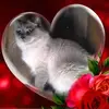 Kara Klinger423 - @karaklinger423 - TikTok