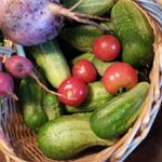 Kara Klinger - @karaklinger - Instagram