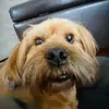 karaalaceyy - @karaalaceyy - TikTok