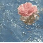 kara lancaster - @lancasterk12345 - Instagram