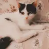 🌀argeş Erol🌀 - @karalarges - TikTok