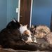 Kara Largent - Facebook