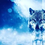 kl665 - @karalevye00 - Instagram