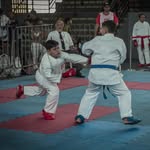 Lorenzo bruno| Atleta de Karatê - @lorenzobrunokarate - Instagram