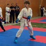 lorenzo lenzi - @lorenzo_karateca - Instagram
