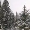 karamae - @karamae.secrett.2 - TikTok