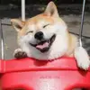 karamanley635 - @karamanley635 - TikTok