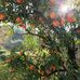 Alper Karamann - Facebook
