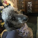 Kara Mattern - Facebook