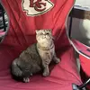 karamcallister8 - @karamcallister8 - TikTok