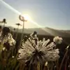 Kara M - @karamcfadden - TikTok