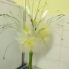 Kara Mcgee - @kara.mcgee4 - TikTok