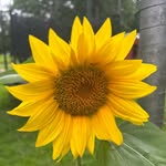 Kara Merchant - @k_a_r_a_m_e_r_c_h - Instagram