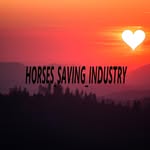 Kara_mountingfeather - @horses_saving_industry - Instagram