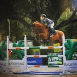 Karamount Sporthorses - @karamount_sporthorses - Instagram