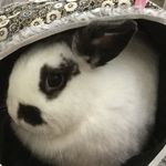 Kara Munson - @janethmunson - Instagram