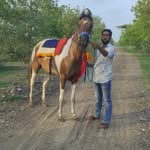 karan kalotara - @karan.ashv_farm_1 - Instagram