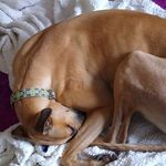Kara Neely-Conklin - @kara.neely.conklin - Instagram
