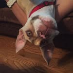 Kara Noone - @first1of2 - Instagram