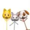 user6225714370457 - @karaochoad98kp6 - TikTok
