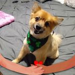 Kara Oswald - @kara.oswald.98 - Instagram