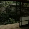 KARAPACE - @karapellegrini.2 - TikTok