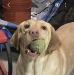 Carey Palmquist - Facebook
