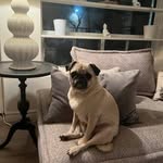 Kara Patterson - @karapatterson4 - Instagram