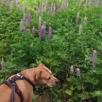 Kara Paugh - @karapaugh - Instagram