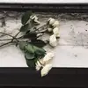 lengkarapena - @lengkarapena - TikTok