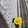 karapepe9 - @karapepe9 - TikTok