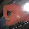 Kara Piper - @karapiper - TikTok