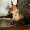 Kara Powers - @kara.powers - TikTok