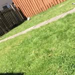 Kara Ricketts - @karascoots101 - Instagram
