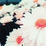 Kara Sue Riggs - @riggssuekara96 - Instagram