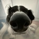 kara anne - @kararingling - Instagram