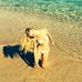 Kara Ring - Facebook