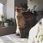 Kara - @__kara__rosa - Instagram