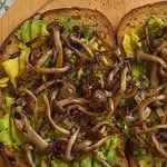 kara rosner | mushroom medicine creations - @mushroommedicinecreations - Instagram