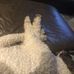 Kara Ross Rowe - Facebook