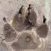 Kara Rowe - @kara.rowe7 - TikTok