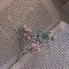 karahroy0 - @karah.roy1 - TikTok