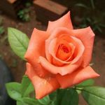 ssss - @karasappa6 - Instagram