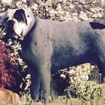 Kara Sayers-Wood - @karaleigh753 - Instagram
