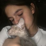 @emily_sphynx_kara_spitz - Instagram