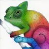Kara Stein - @vibrantiguana7 - TikTok